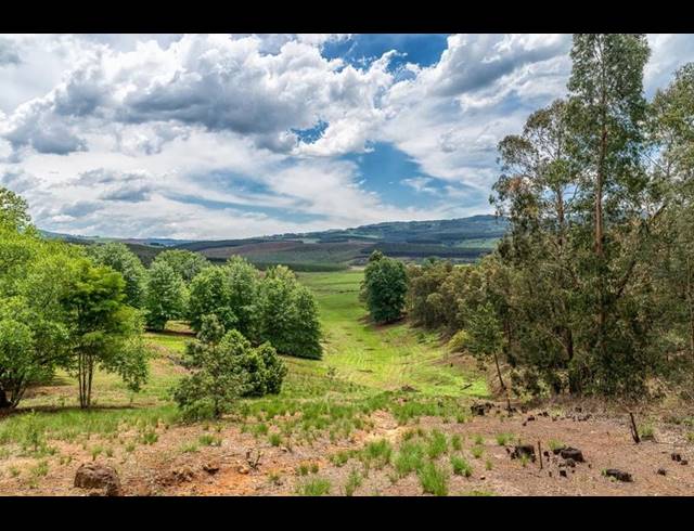 FARM FOR SALE IN LIDGETTON